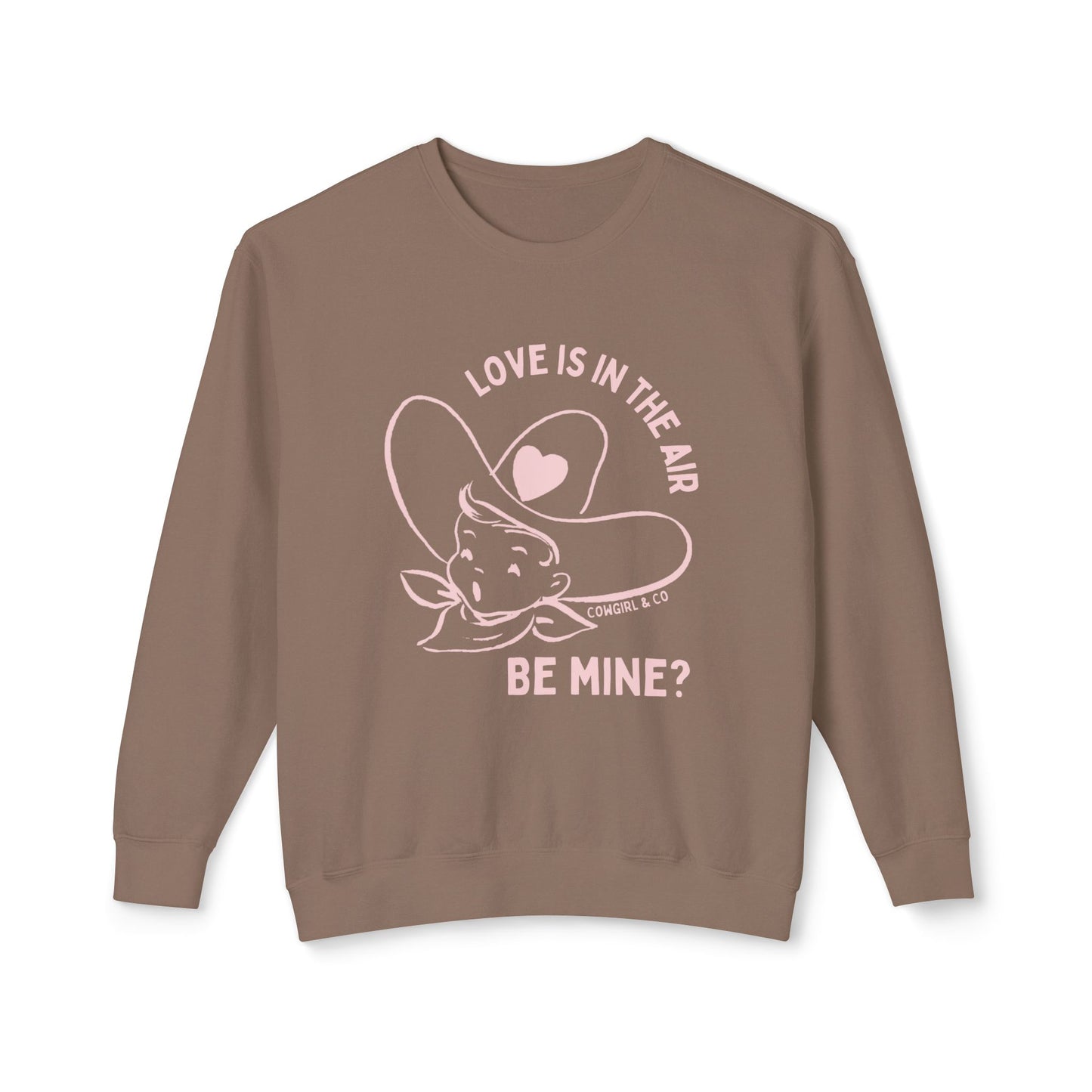 Love is in the Air Sweatshirt